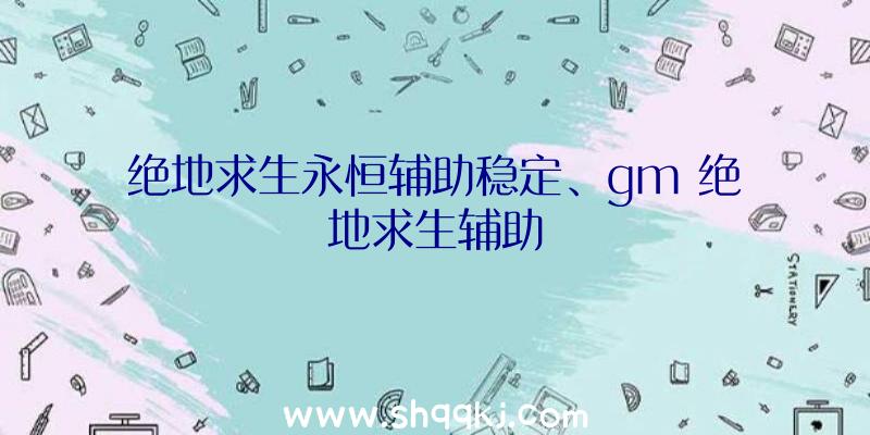 绝地求生永恒辅助稳定、gm